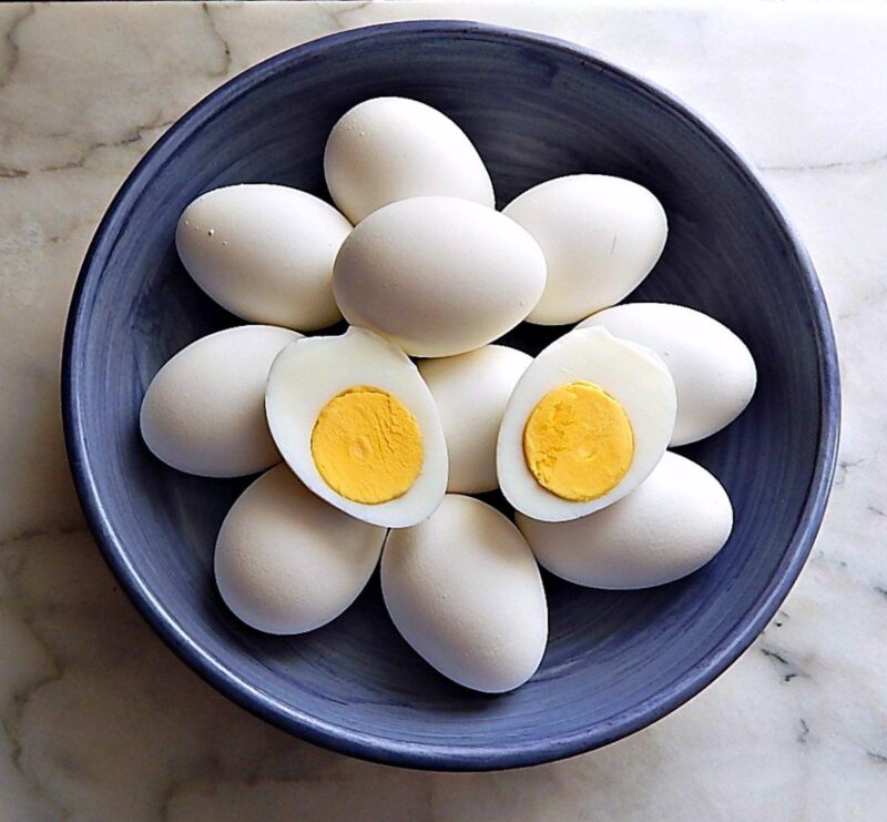 تناول البيض يوميا للحامل