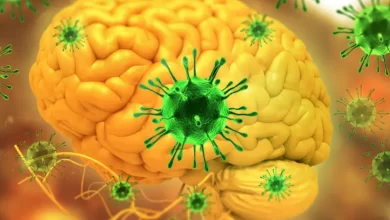 فيروس نيباه يهدد حياة الانسان