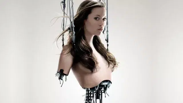 Terminator: The Sarah Connor Chronicles