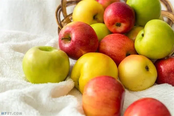 هل تناول التفاح بكثرة يزيد الوزن؟ وأفضل وقت لتناوله