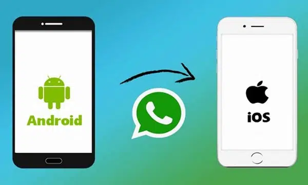 كيفية نقل WhatsApp من Android إلى iPhone