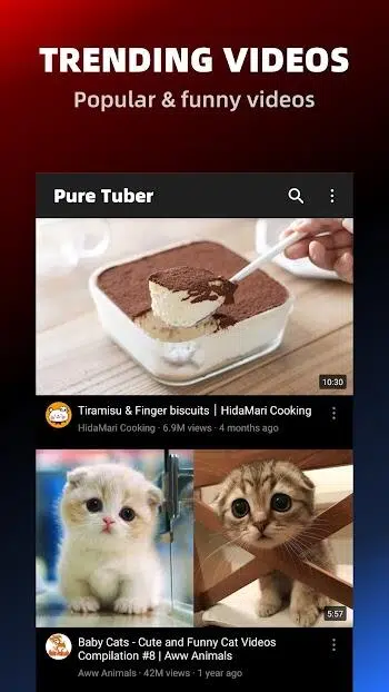 تحميل تطبيق Pure Tuber