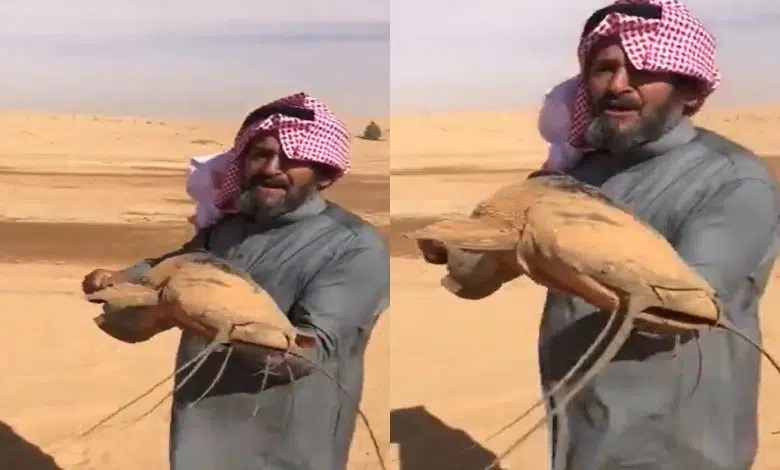 فيديو السمكة الحية في صحراء السعودية