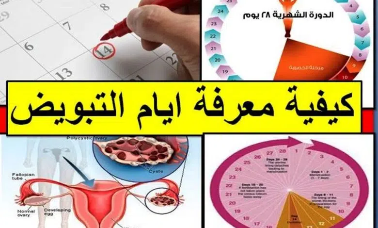 أسهل طريقة لحساب أيام التبويض للحمل بولد