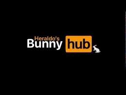 Bunny Hub