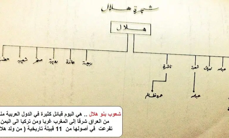 قبيلة بني هلال وش يرجعون