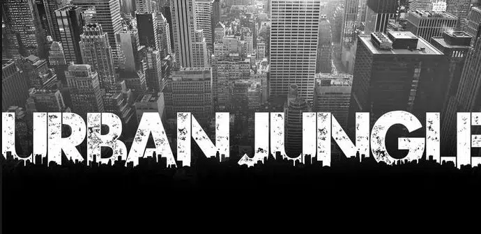 Download Urban Jungle Font for Free: Personal Use Only