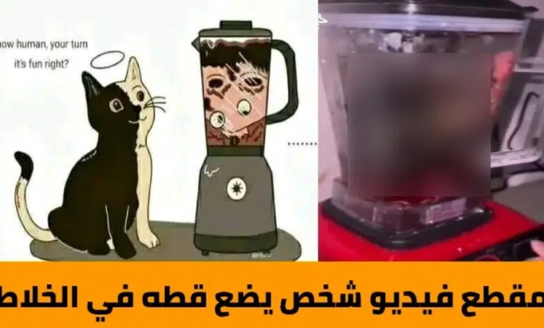 فيديو رجل صيني يطحن قطة بالخلاط