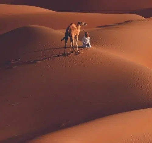 قصة شيمة الشلاقي