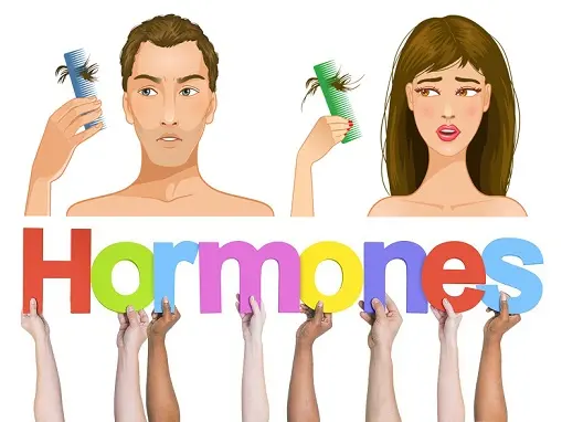 7 تغيرات هرمونية تحدث لجسمك بعد الزواج