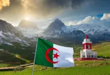 أول موقع دراسة في الجزائر .. الاستعلام عن نتائج شهادة التعليم المتوسط البيام 2024