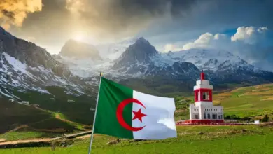 أول موقع دراسة في الجزائر .. الاستعلام عن نتائج شهادة التعليم المتوسط البيام 2024