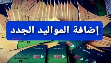 إضافة المواليد الجدد على بطاقة التموين 2024 بالرقم القومي عبر موقع مصر الرقمية