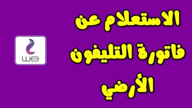 مبروك هتدفعها بنصف ثمنها .. خطوات دفع فاتورة الخط الأرضي 2024 بالموبايل فقط