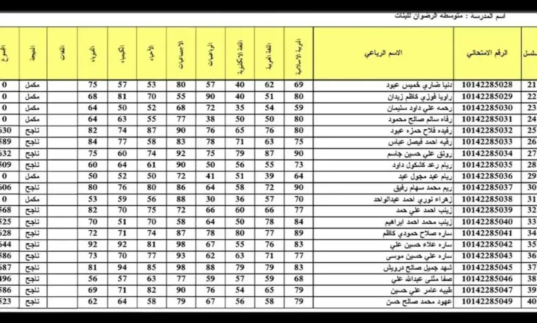 وزارة التربية العراقية تكشف رسميًا عن رابط نتائج السادس الاعدادي وموعد ظهورها! 2024