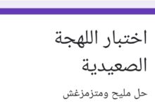 جربها “رابط اللهجة الصعيدي الجديد 2024” .. 20 سؤال هيحدد مصيرك في أصولك الصعيدية