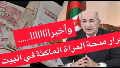 هنا الآن رابط التسجيل في منحة المرأة الماكثة في البيت بالجزائر وأهم الشروط المطلوبة عبر الوكالة الوطنية للتشغيل